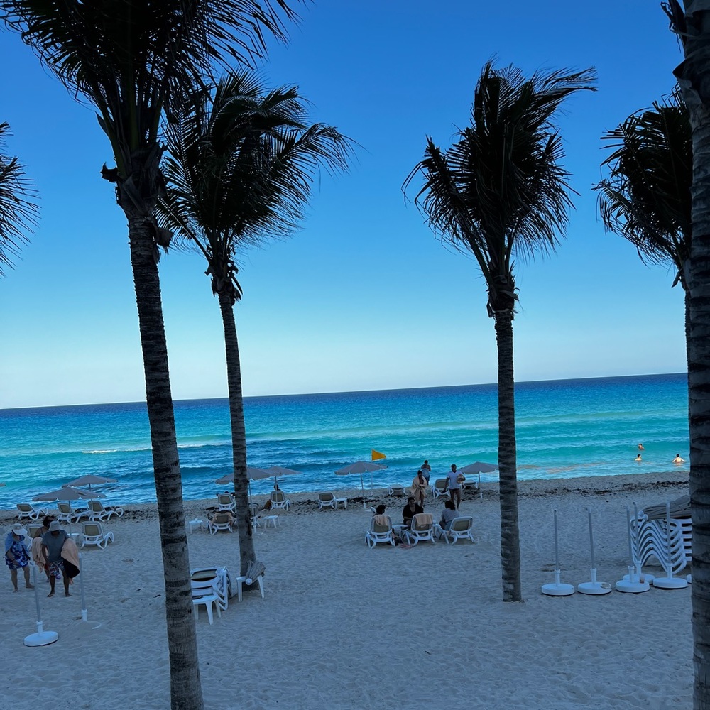 Meet your Posher, Edel